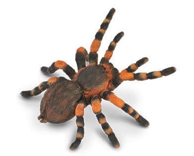 CollectA Tarantula