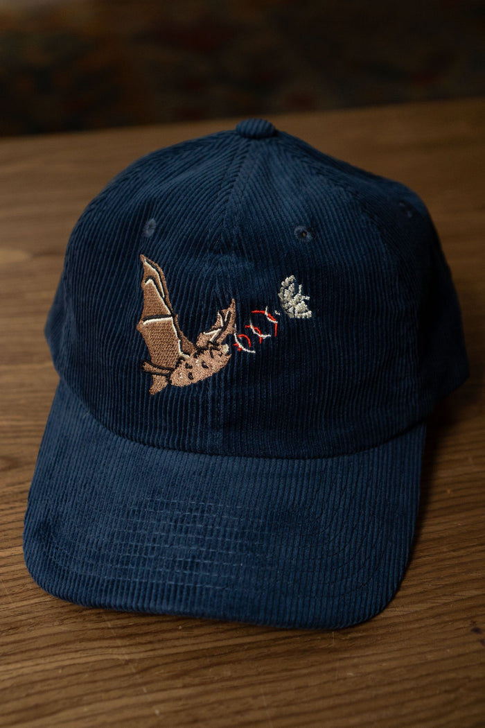 Echolocation Corduroy Dad Hat