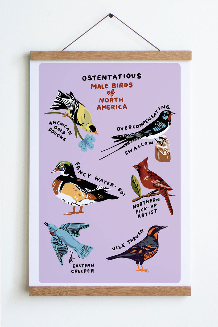 Male Birds Print