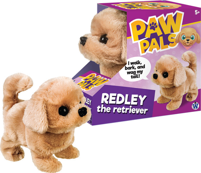 Redley the Walking Golden Retriever Dog