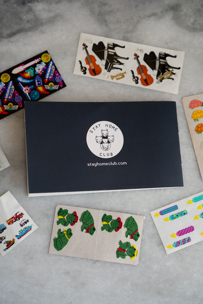 Scrappy Raccoon - Pocket Sticker Book