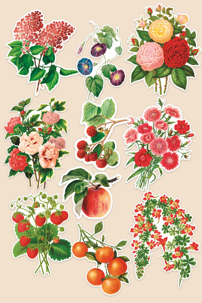 Sticker Pack: Gap Filler Fruits & Flowers