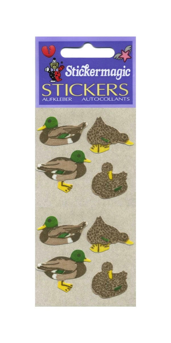 Mallard Ducks (Fuzzy)