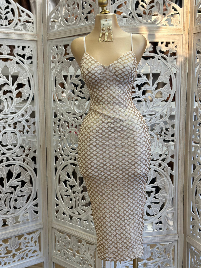 Glitter Net Design Midi Dress