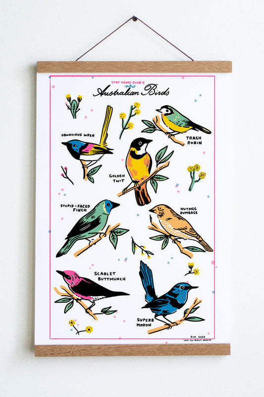 stay home club's new autralian birds print with colourful birds with rude names scarlet buttmunch nutmeg dumbass trash robin