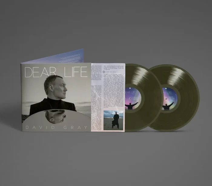 David Gray Dear Life