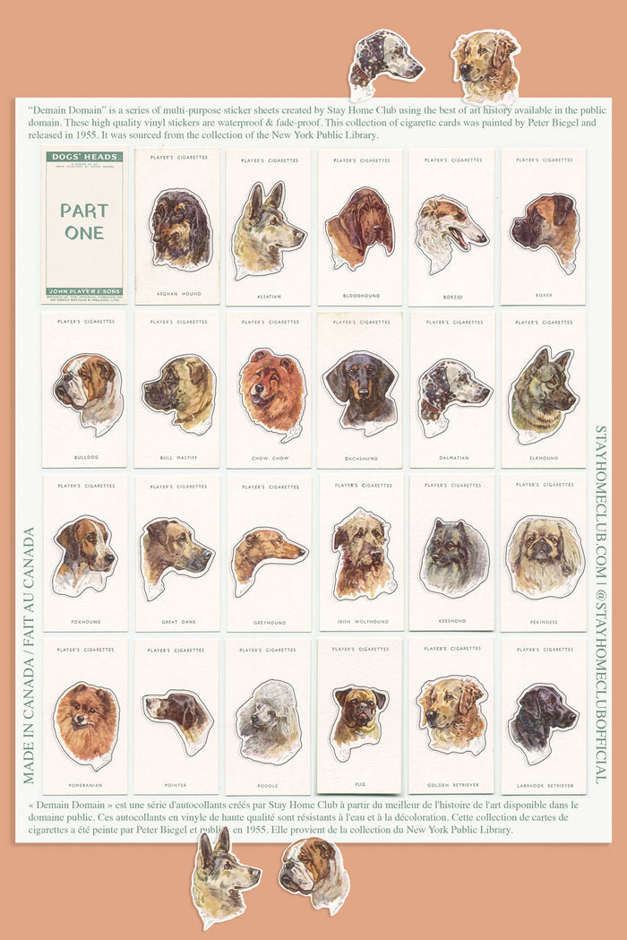 Dogs' Heads / Part 1 - Mega Sticker Sheet