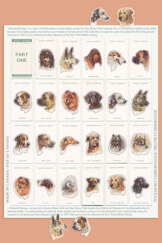 Dogs' Heads / Part 1 - Mega Sticker Sheet