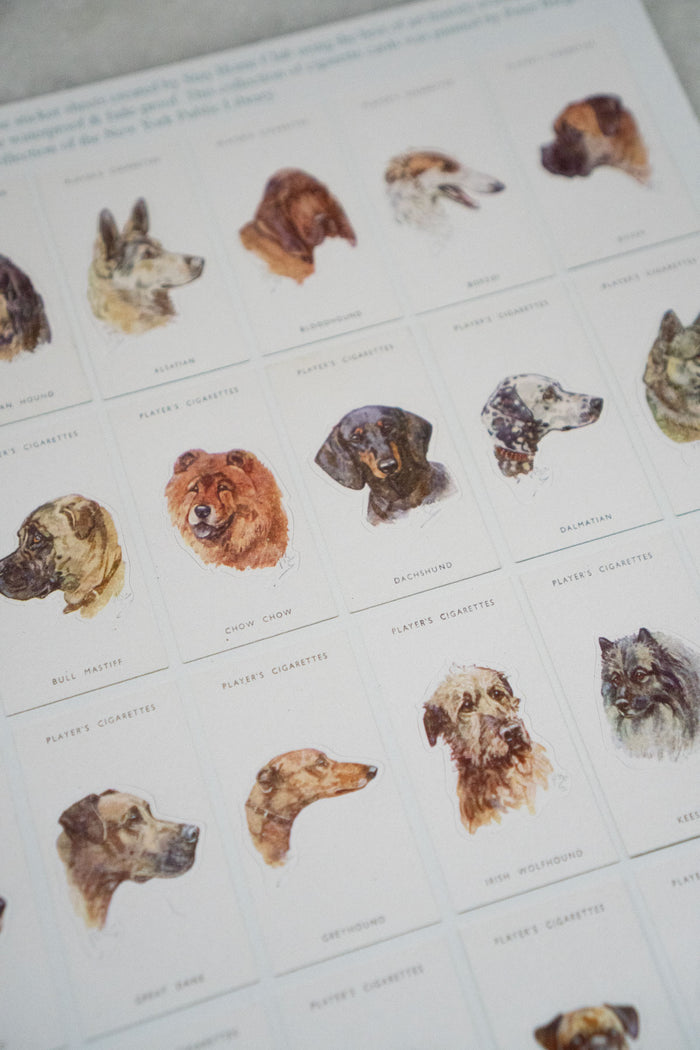 Dogs' Heads / Part 1 - Mega Sticker Sheet