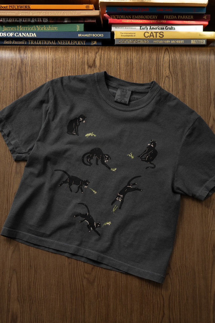 Frenemies (Cat & Frog) CC Boxy Tee