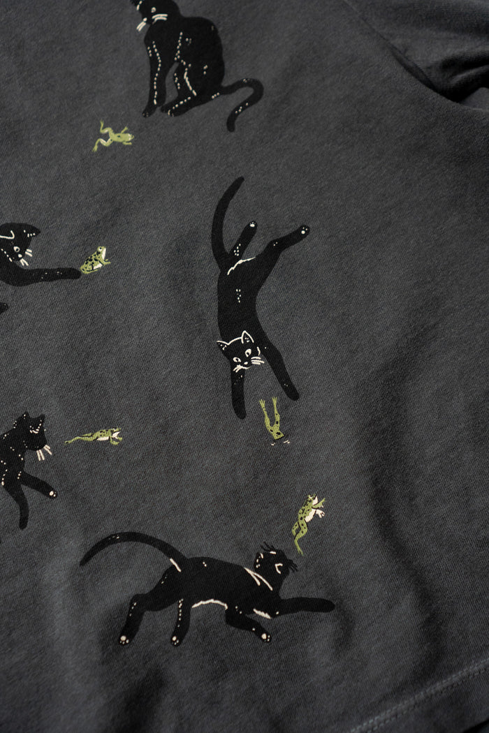 Frenemies (Cat & Frog) CC Boxy Tee