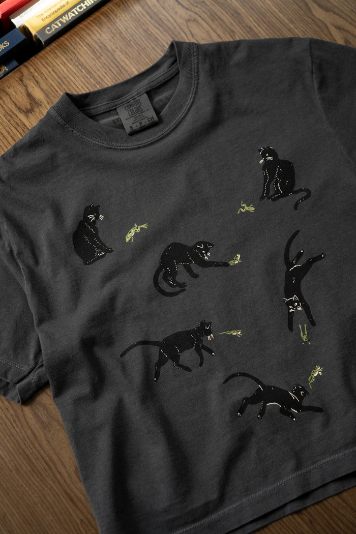 Frenemies (Cat & Frog) CC Boxy Tee