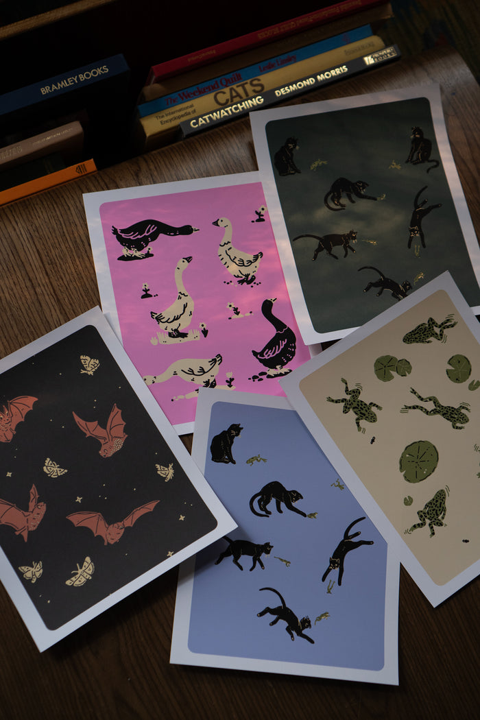 Frenemies (Cat & Frog) Print