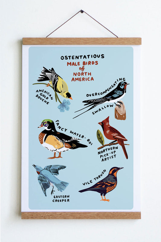 Male Birds Print