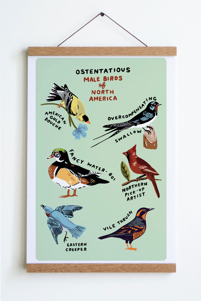 Male Birds Print