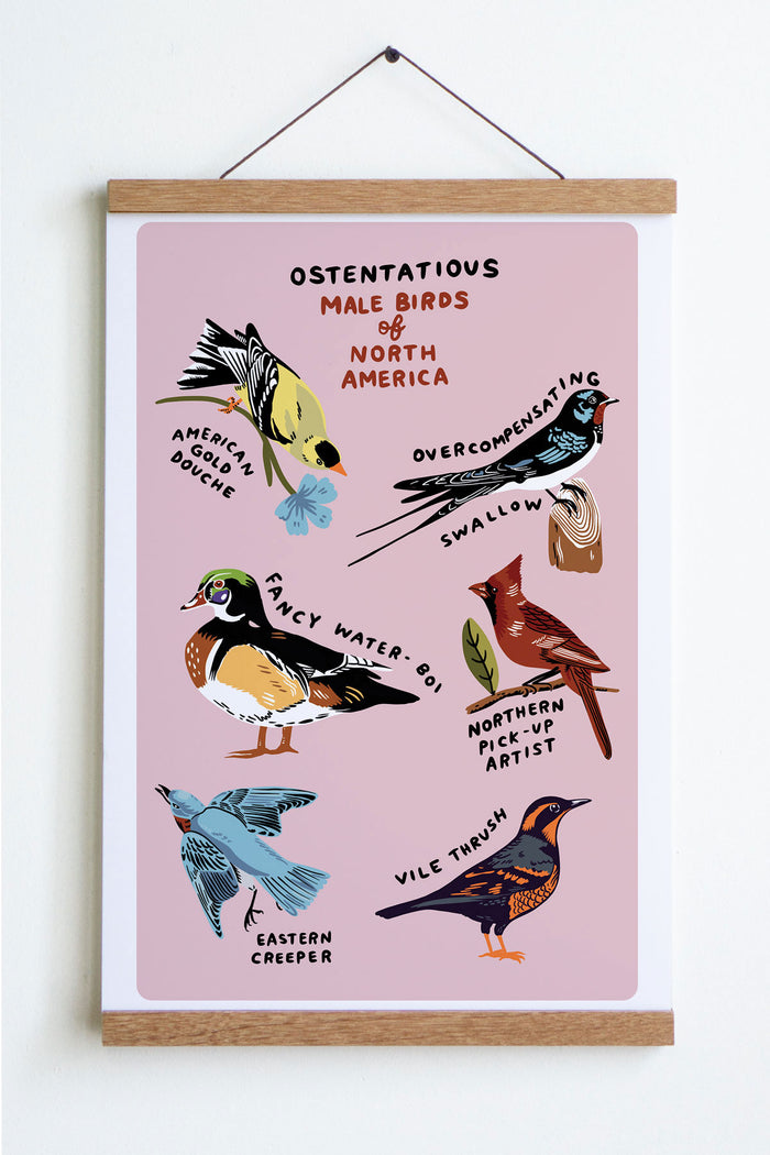 Male Birds Print