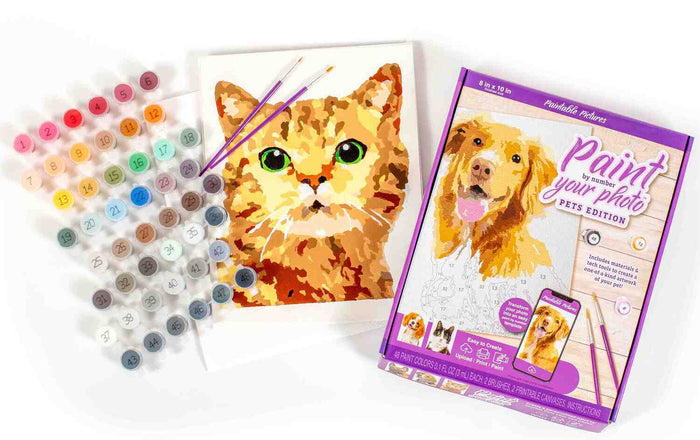 Paint Your Custom Photo - Pets Edition