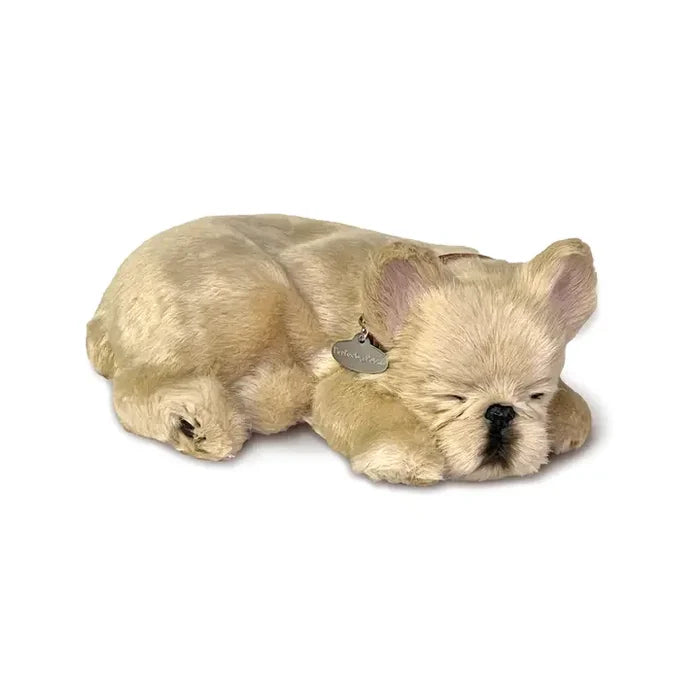 Perfect Petzzz French Bulldog