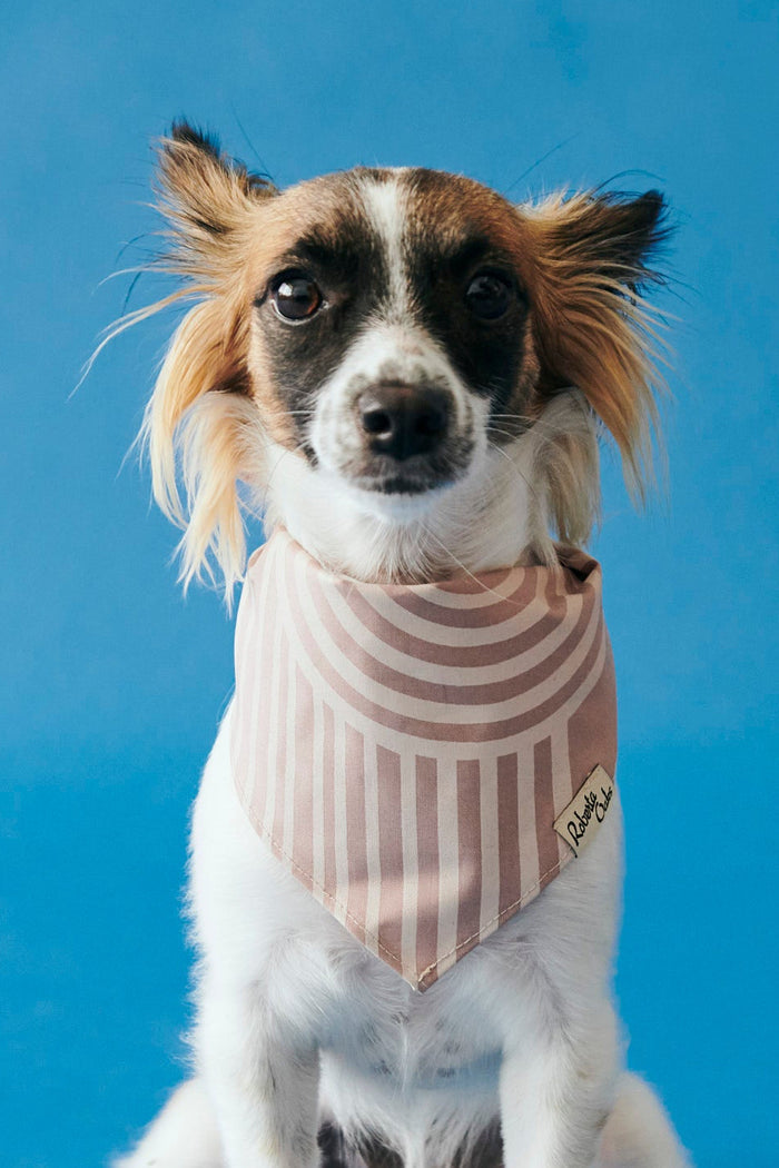 Pet Arco Mocha Mousse