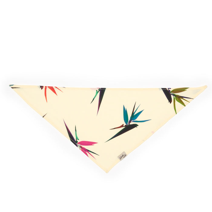 Pet Bird of Paradise Pale Yellow