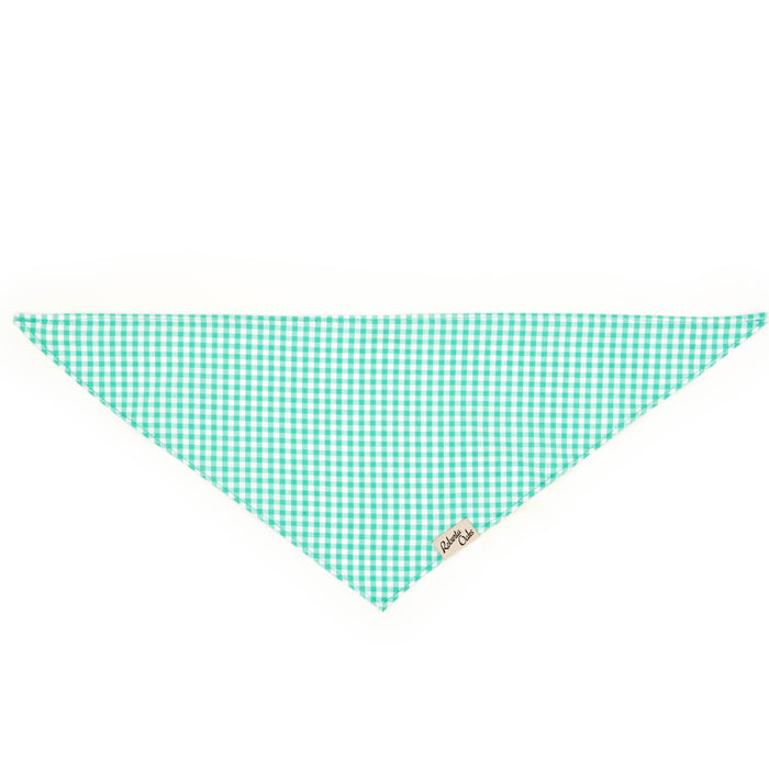 Pet Gingham Aqua