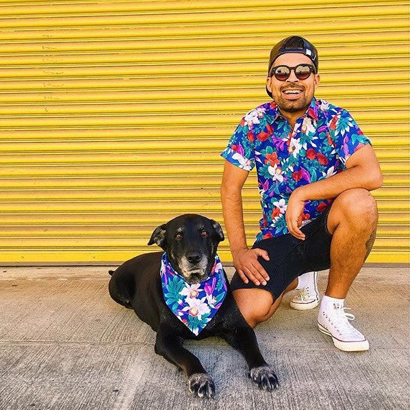 Pet Night Out