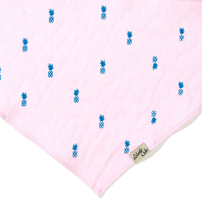 Pet Pale Pink Pineapple