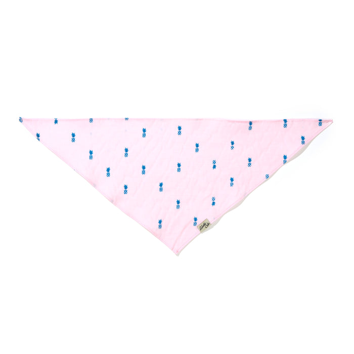 Pet Pale Pink Pineapple