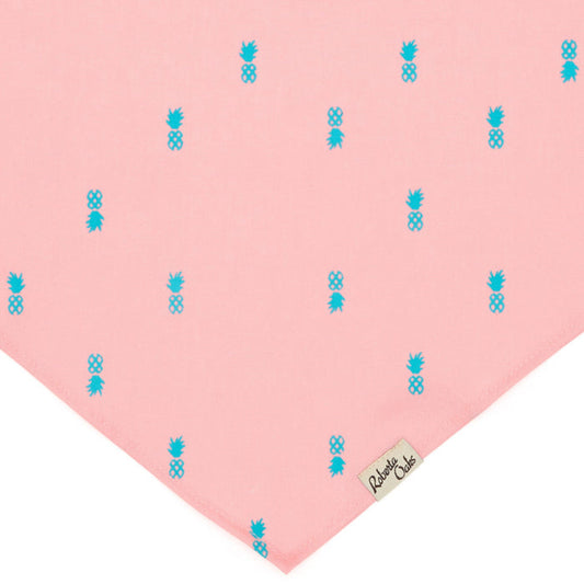 Pet Pineapple Bubblegum