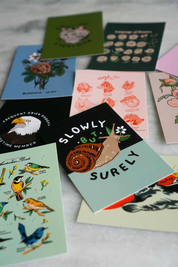 SHC Collection 1 - 20 Postcard Pack