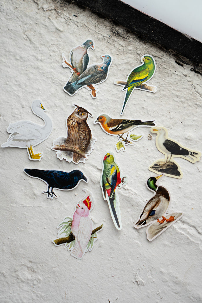 Sticker Pack: Gap Filler Bird World
