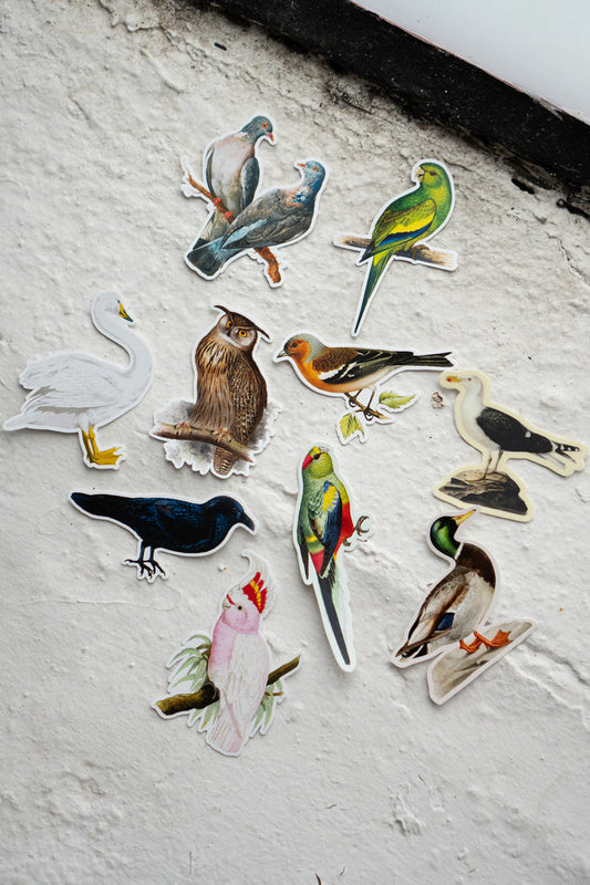 Sticker Pack: Gap Filler Bird World