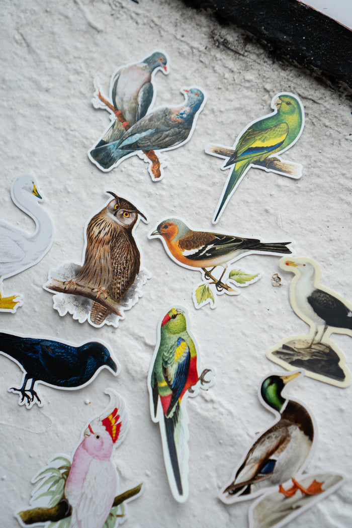Sticker Pack: Gap Filler Bird World