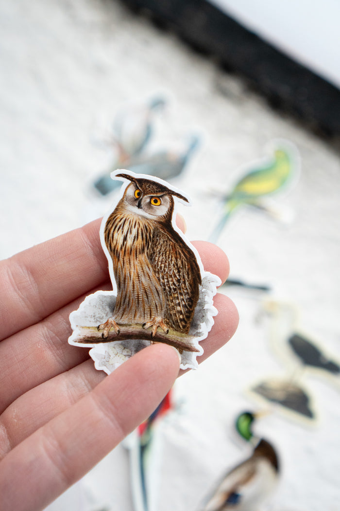 Sticker Pack: Gap Filler Bird World