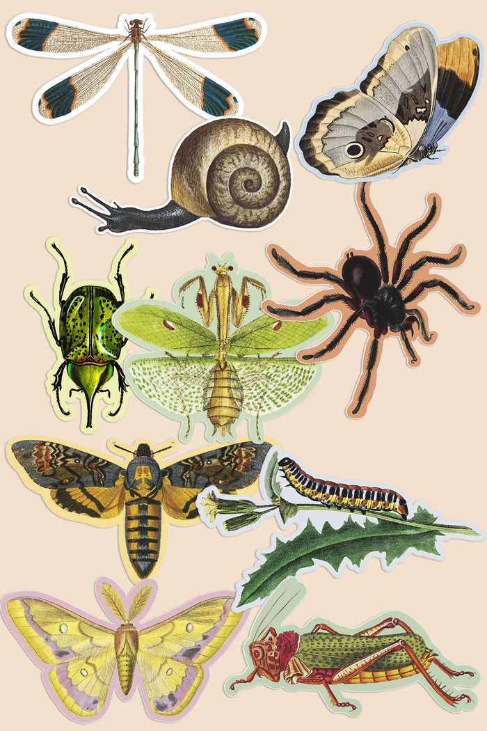 Sticker Pack: Gap Filler Bug Babies