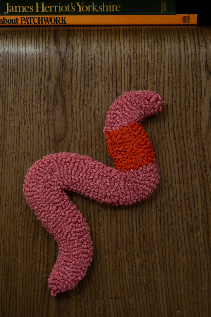 Tufted Worm Wall Hanging