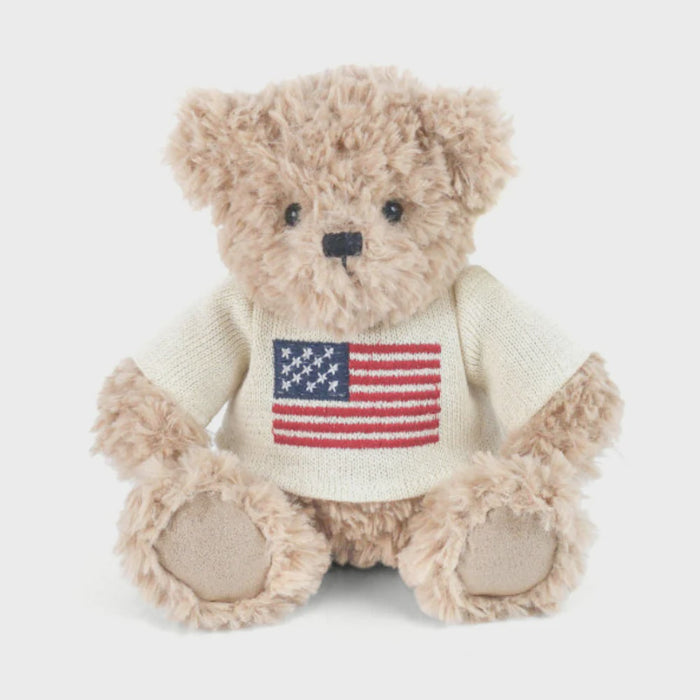 USA Teddy Bear